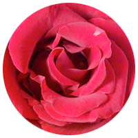Refan Naturkosmetik Icon Rose